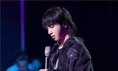 娱乐吃瓜华晨宇是谁,娱乐吃瓜界的风云人物  第1张