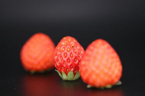 最新爆料草莓图片高清,高清视觉盛宴下的甜蜜诱惑  第1张